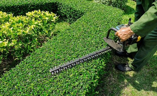 Landscape Maintenance Miami Fl