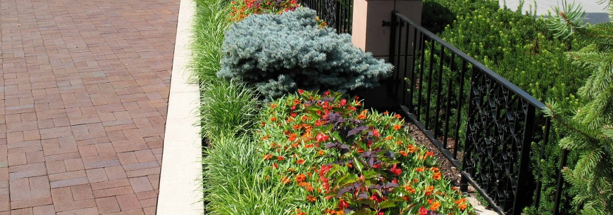 Commercial Landscape Landscaping Miami, Landscaping Company Miami